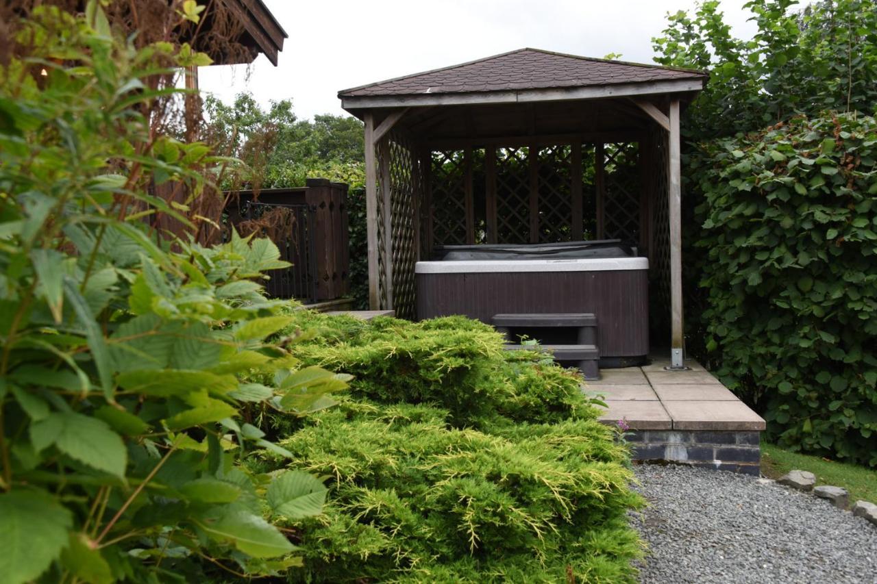 Hillside View Villa Rhayader Buitenkant foto